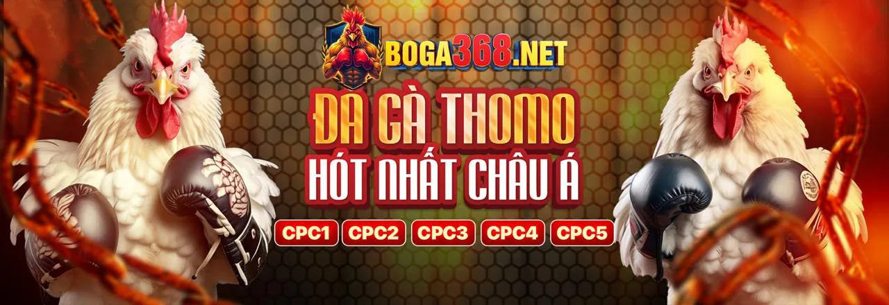 Khuyến mãi và ưu đãi độc quyền tại vmax86
