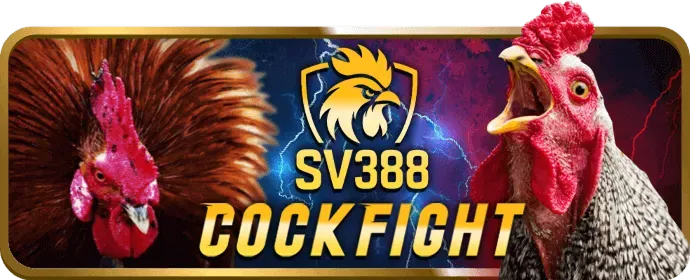 Hỗ trợ khách hàng VMAX86